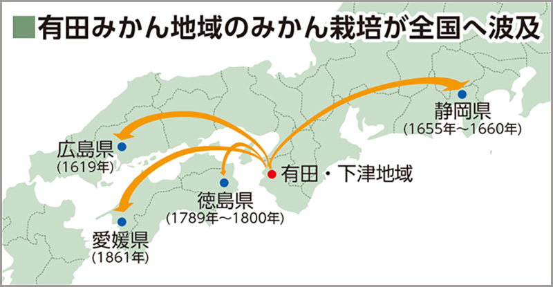 有田みかん地域のミカン栽培が全国へ波及